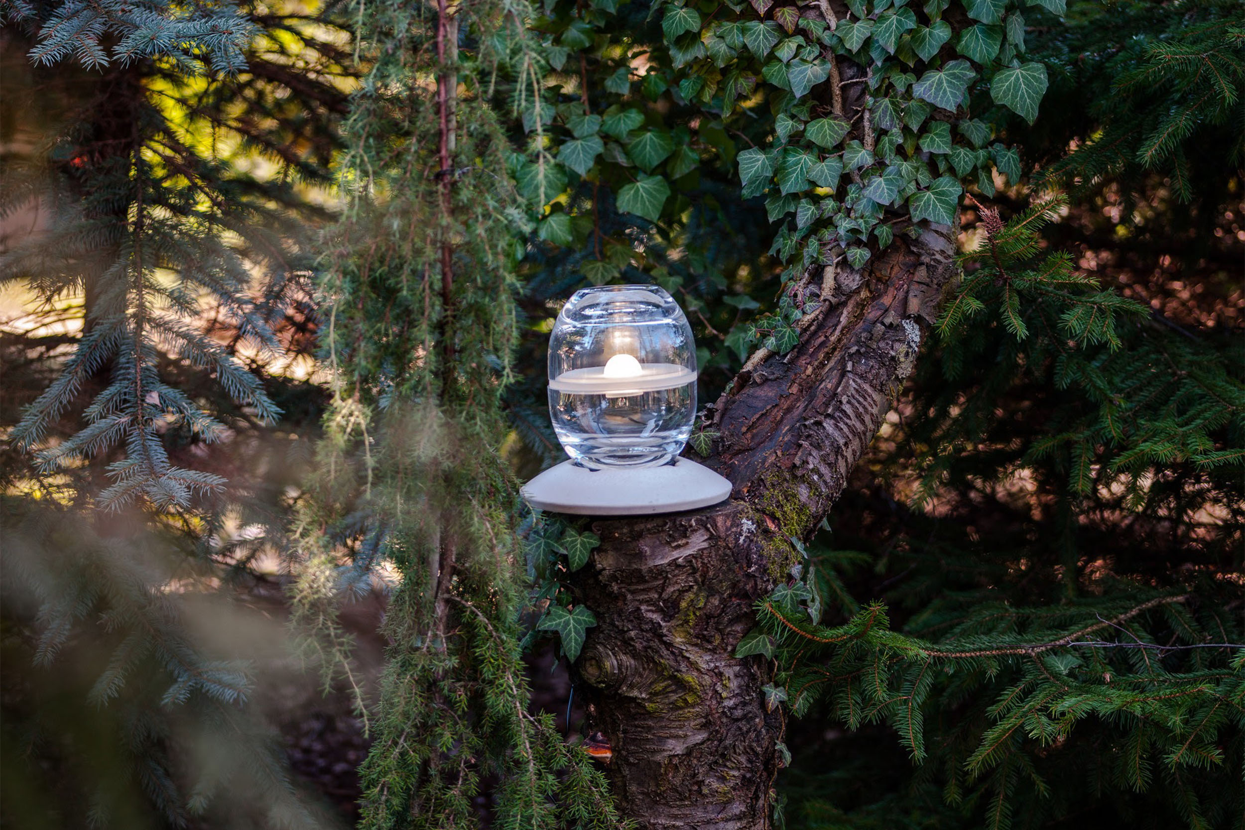 LAMPA_AVOKADO
