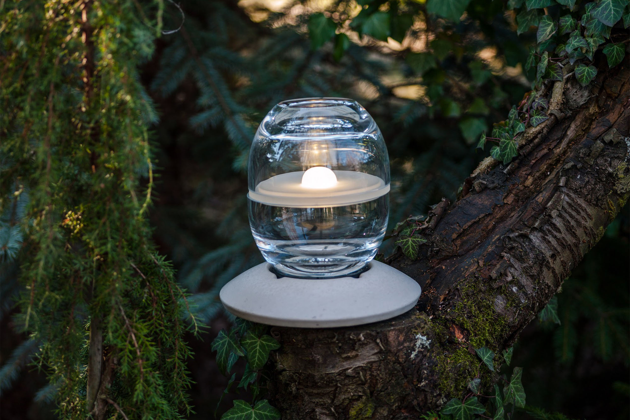 LAMPA_AVOKADO