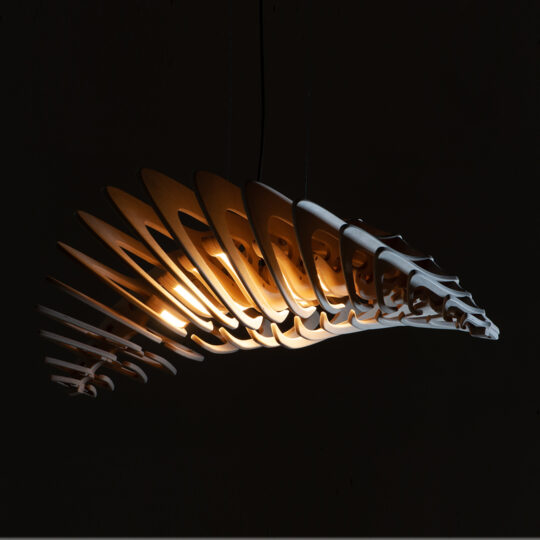 nimfa_lampa