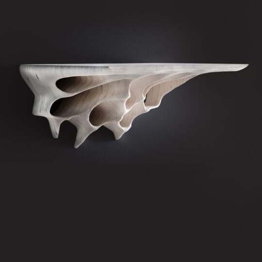 erosion_shelf